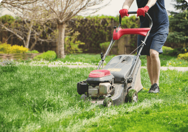 Men cutting grass with lawn mower